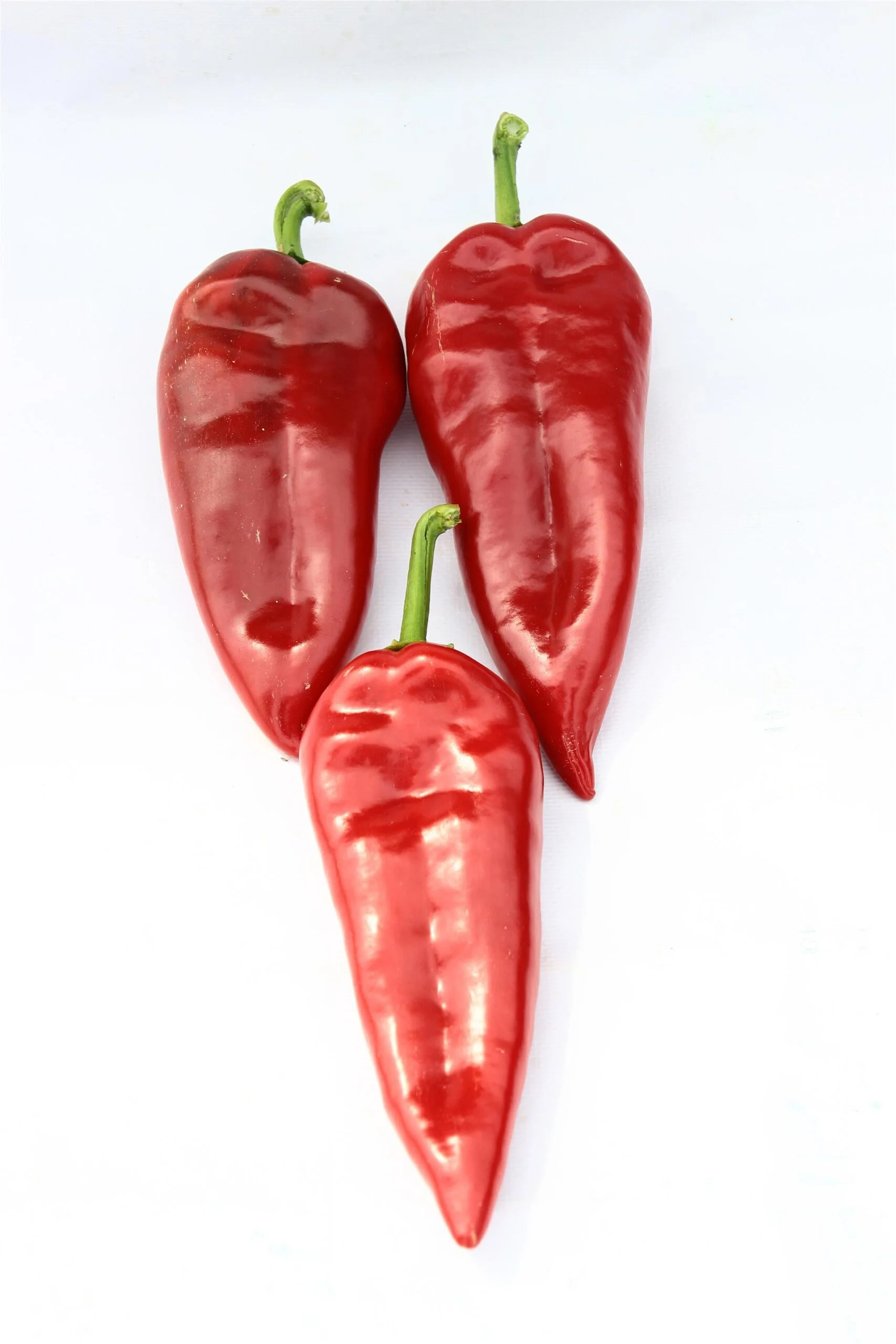 AVŞAR F1 Biber Fidesi - Image 4